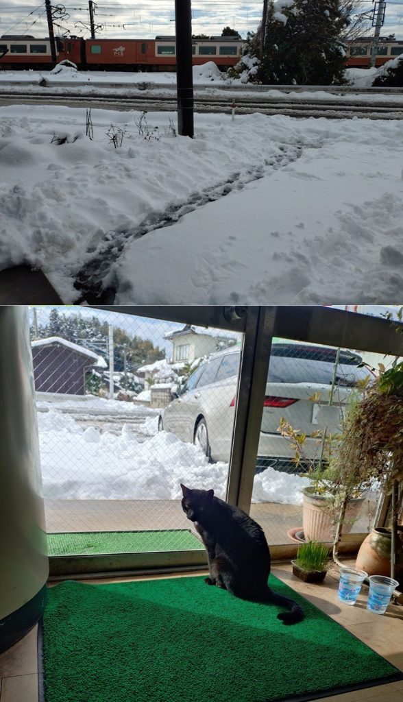 ２月ですね（その後）